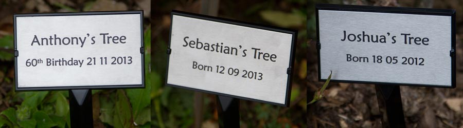 Celebrate an event by planting a tree. http://www.sign-maker.net/engraved/plant-stake-grave-marker.html