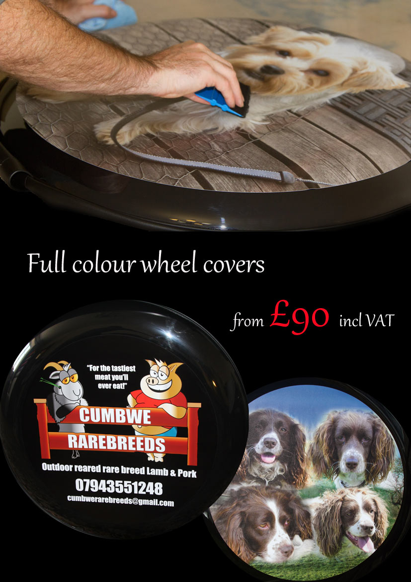 http://www.sign-maker.net/wheelcovers/digital-brochure/index.html