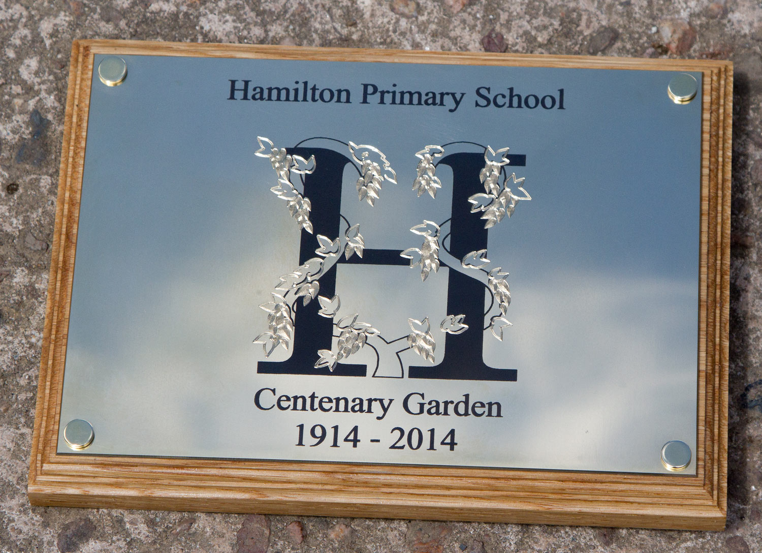 http://www.sign-maker.net/engraved/laser-engraved-brass.html