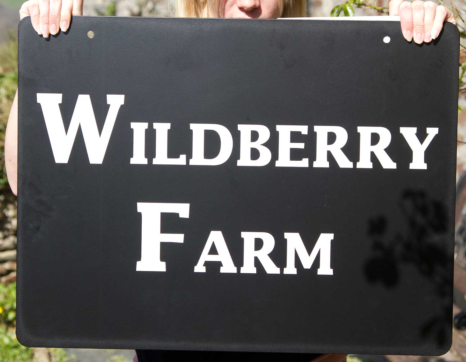 Hanging Sign