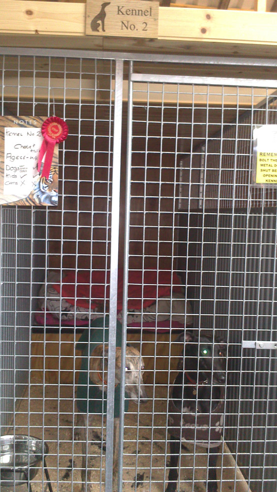 kennels