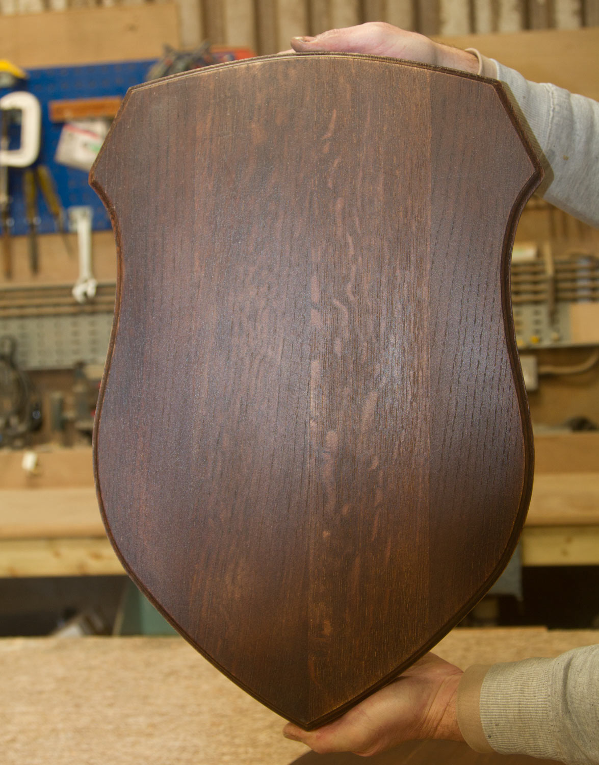 taxidermy-shield