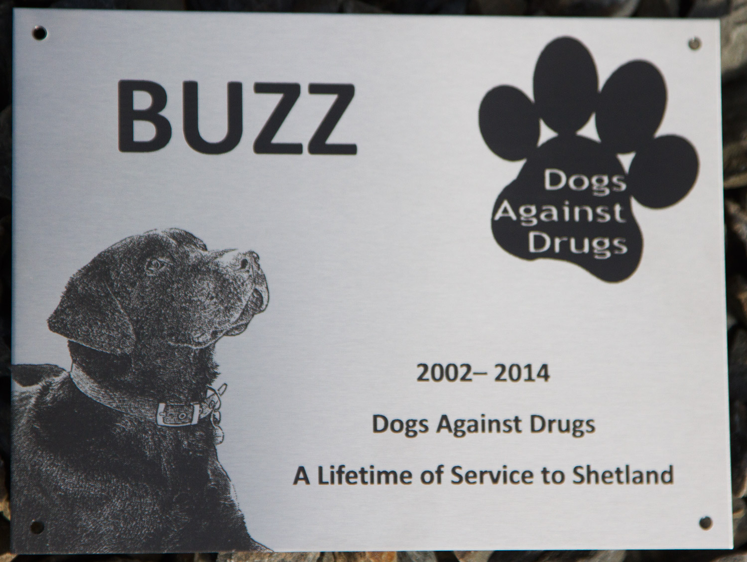 Laser Engraved Stainless Steel Plaque