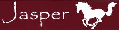 engraved-acrylic-laminate-horse-name-signs-3467-p