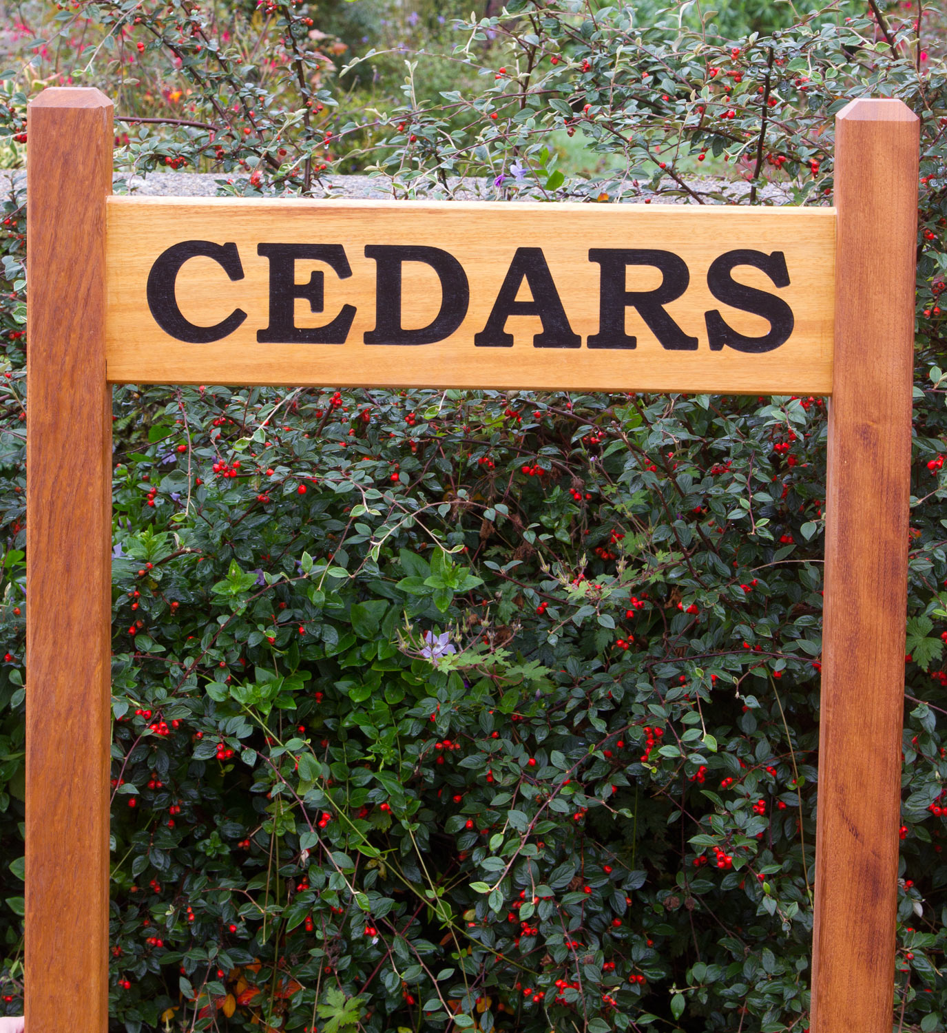 cedar-sign-posts
