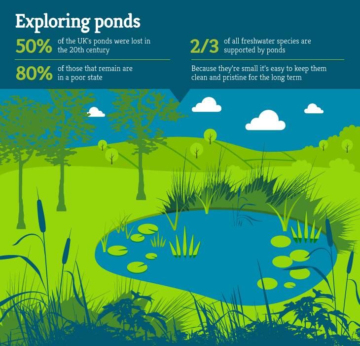 Habitat-map-sections-pond2