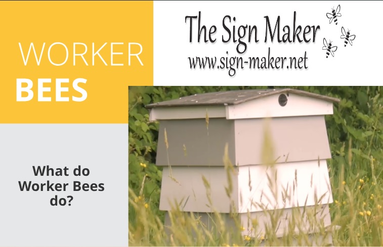 worker bees topper.jpg