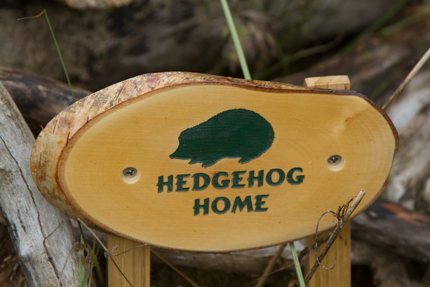 hedgehog-home.jpg