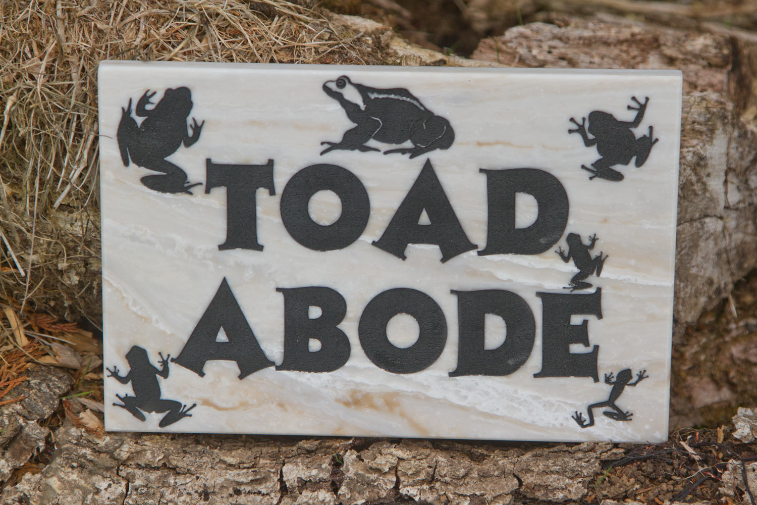 toad-abode.jpg