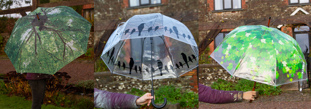 Unique, nature inspired umbrellas create style on elegance while providing shelter from the weather.