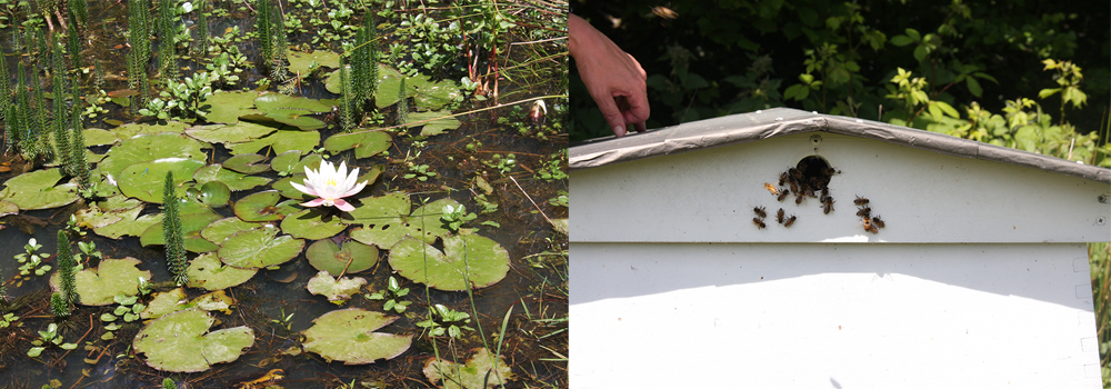 Here at The Sign Maker we care about the environment at that is why we are a North Devon Biosphere partner.