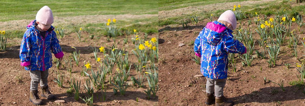 Ava planting wildflower seeds