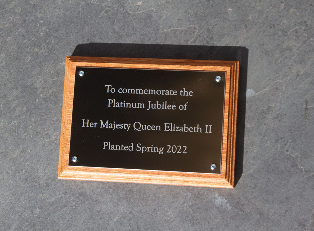 Summer Signage