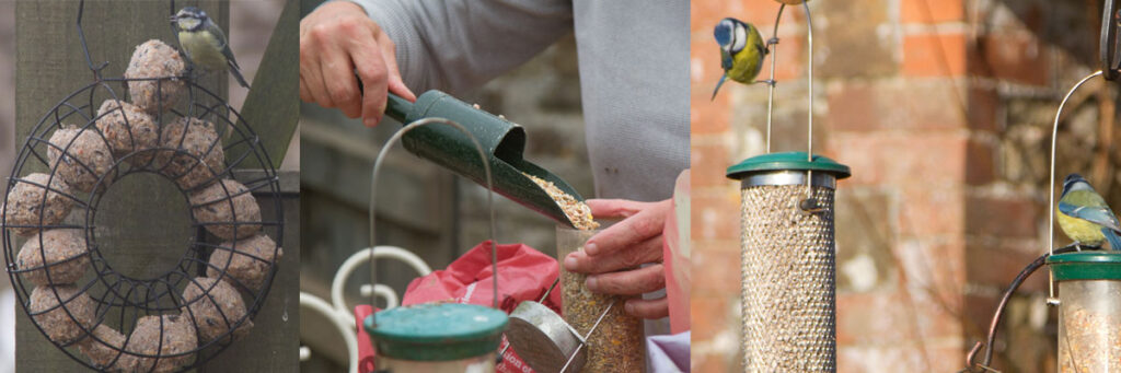 Here at The Sign Maker we like to feed the birds all year round to help them with their young and to thrive.