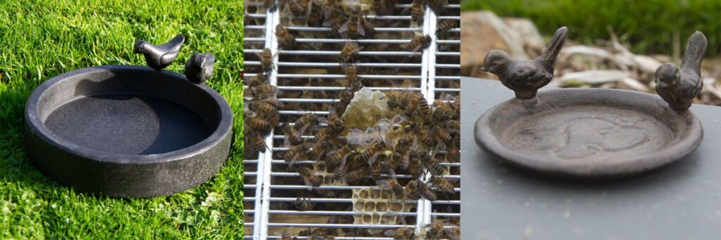 Consider ways you can provide water for insects, bees and birds during the summer months.